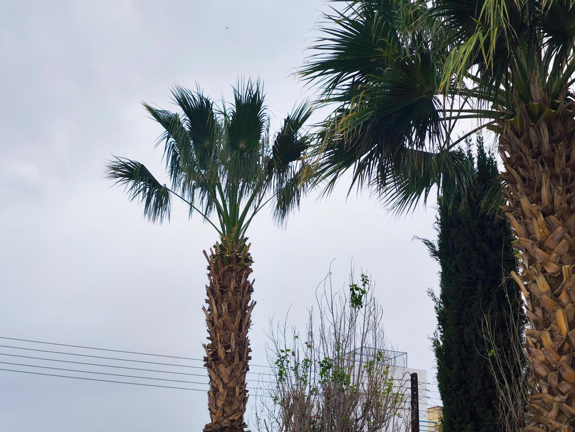 Sunset Green 03 Paphos 外观 照片