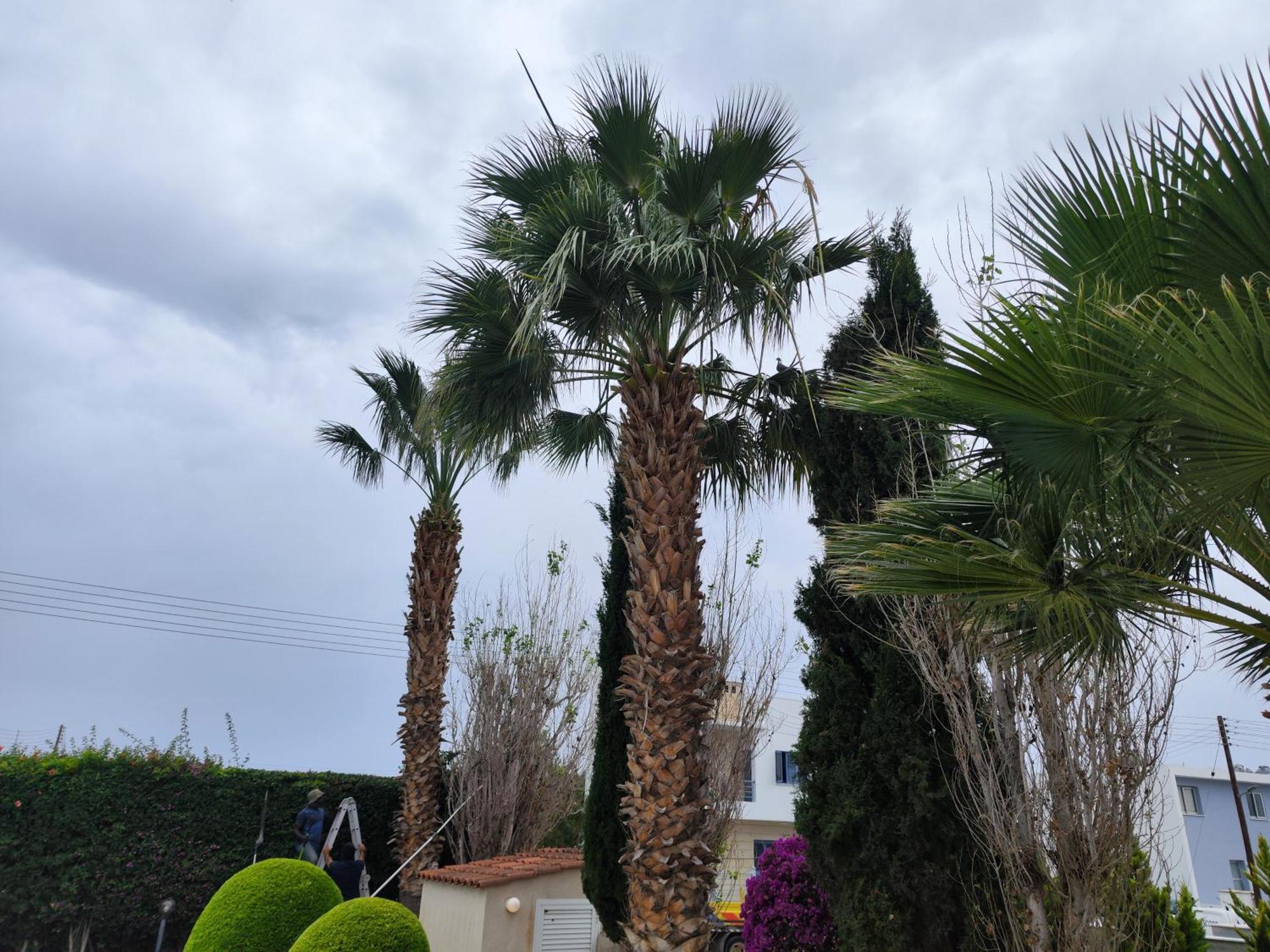 Sunset Green 03 Paphos 外观 照片