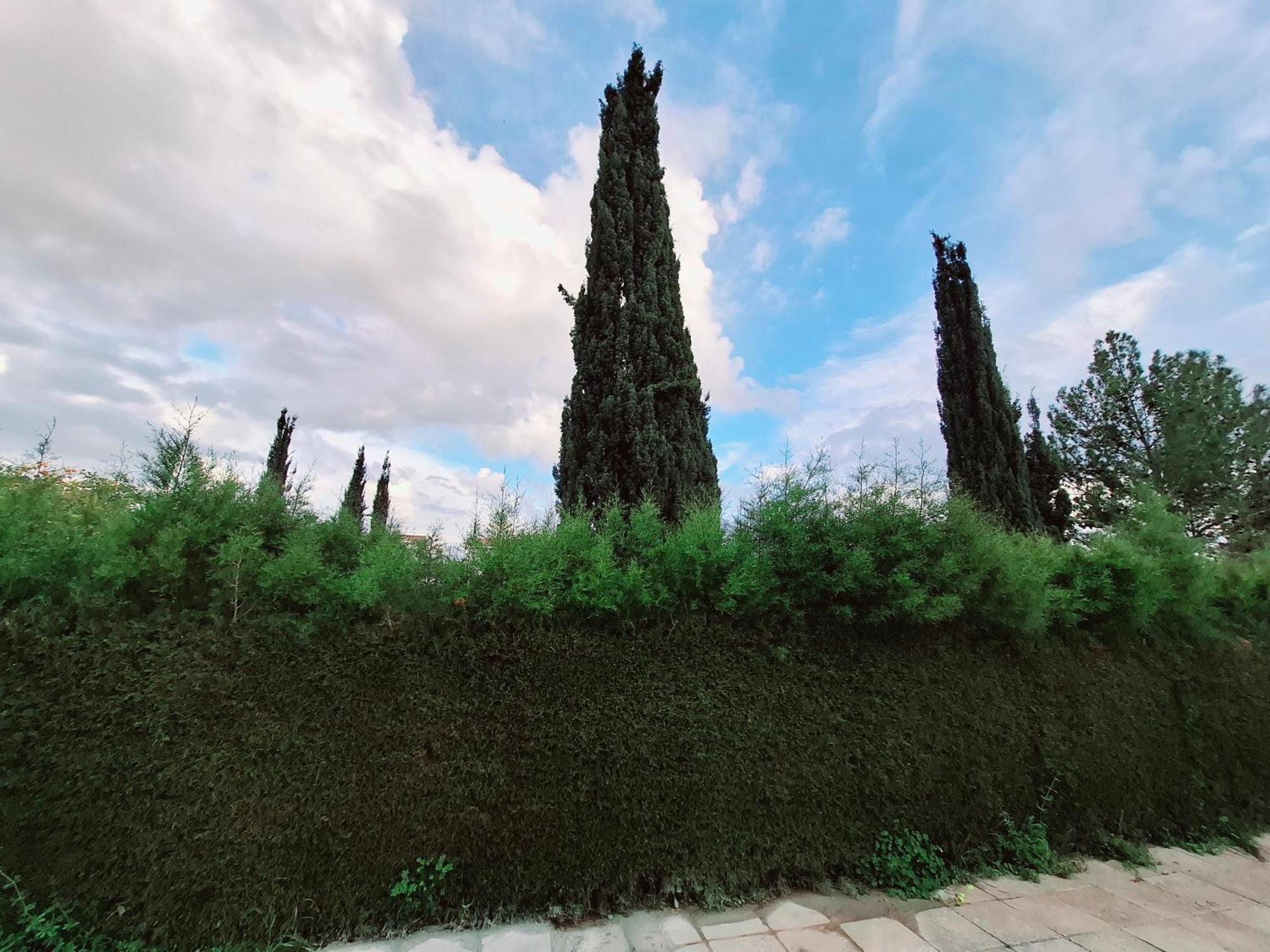Sunset Green 03 Paphos 外观 照片
