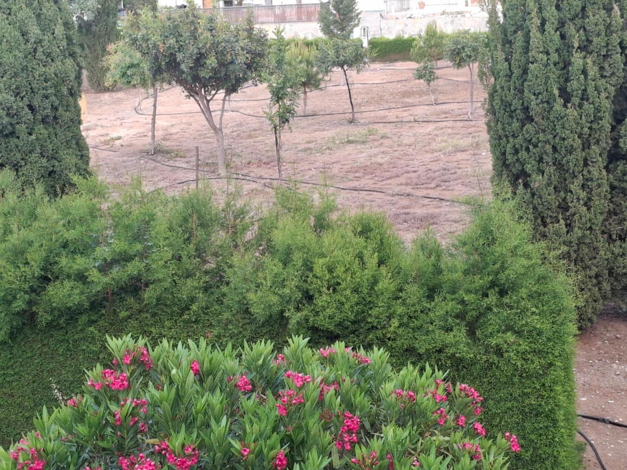 Sunset Green 03 Paphos 外观 照片